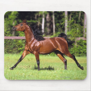 Arab Horse Running 2 Mouse Mat
