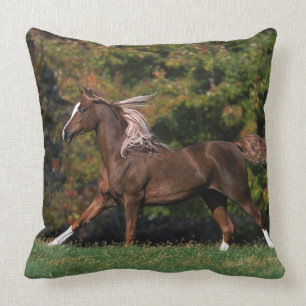 Arab Horse Running in Grassy Field Cushion