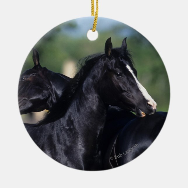 Arab Horse Scratching Ceramic Tree Decoration (Front)