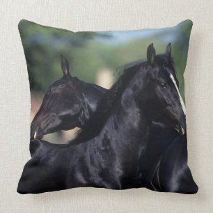 Arab Horse Scratching Cushion