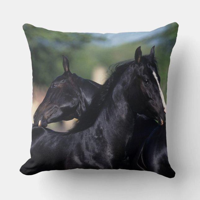 Arab Horse Scratching Cushion (Front)