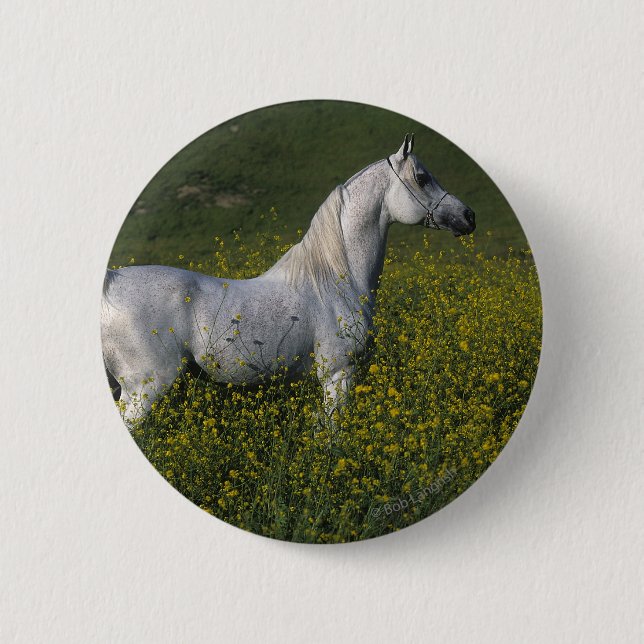 Arab Horse Standing in Flowers 6 Cm Round Badge (Front)
