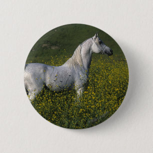 Arab Horse Standing in Flowers 6 Cm Round Badge