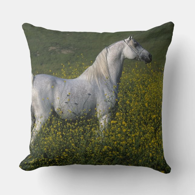 Arab Horse Standing in Flowers Cushion (Front)