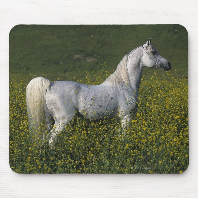 Arab Horse Standing in Flowers Mouse Mat (Front)