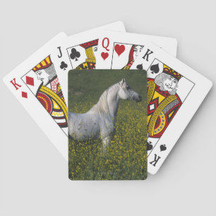 Arab Horse Standing in Flowers Playing Cards