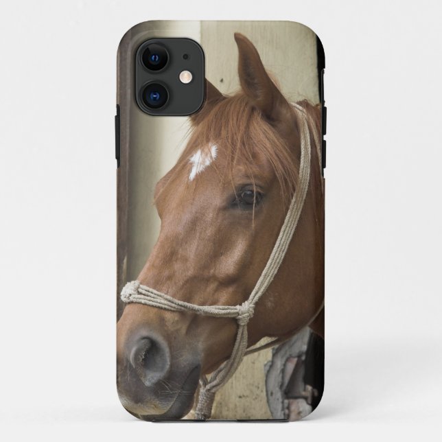 Arab Horses Case-Mate iPhone Case (Back)