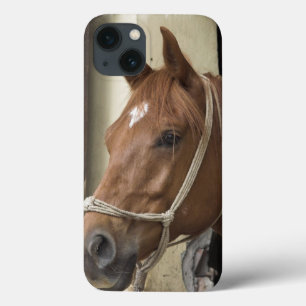 Arab Horses iPhone 13 Case