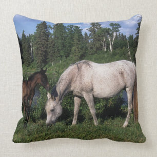 Arab Mare & Foal 2 Cushion