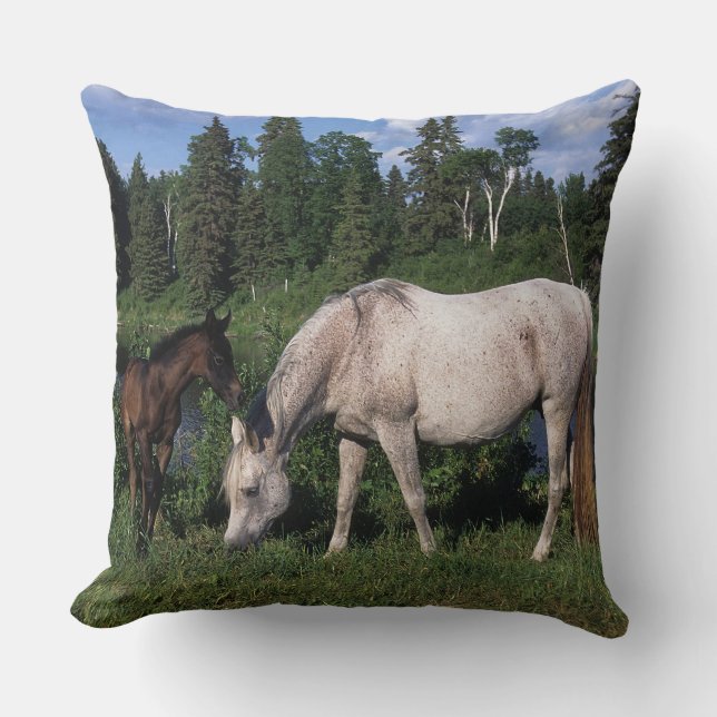Arab Mare & Foal 2 Cushion (Front)