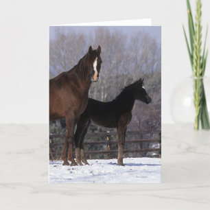 Arab Mare & Foal in Snow Card