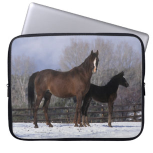 Arab Mare & Foal in Snow Laptop Sleeve
