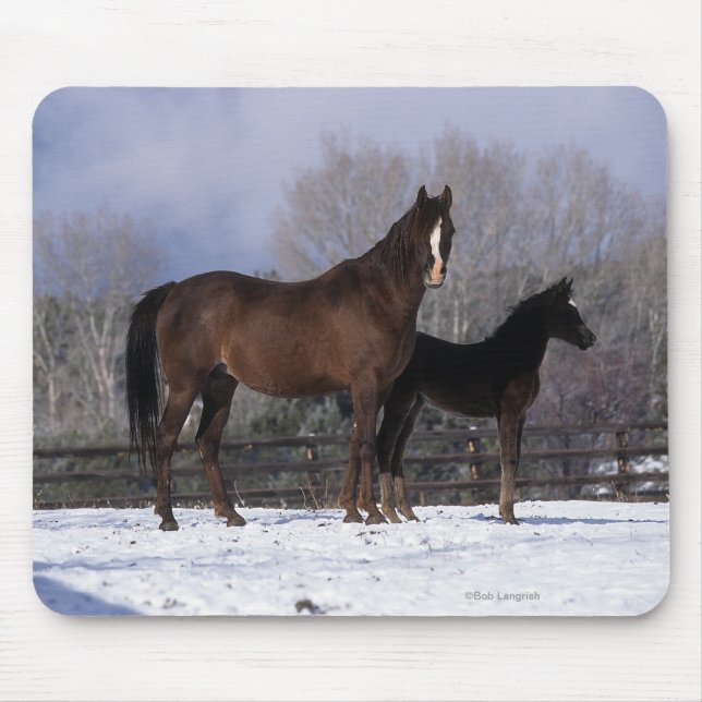 Arab Mare & Foal in Snow Mouse Mat (Front)