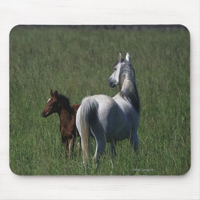 Arab Mare & Foal Mouse Mat (Front)