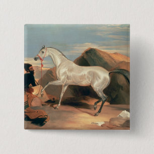 Arab Stallion 15 Cm Square Badge