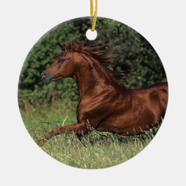 Arab Stallion Running in the Grass Ceramic Tree Decoration (Front)