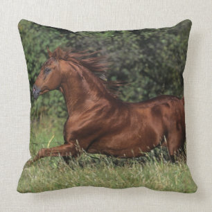 Arab Stallion Running in the Grass Cushion