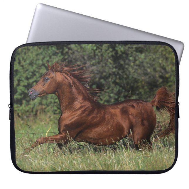 Arab Stallion Running in the Grass Laptop Sleeve (Front)