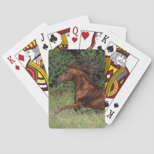 Arab Stallion Running in the Grass Playing Cards