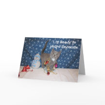 Arabella the Cat - White Christmas