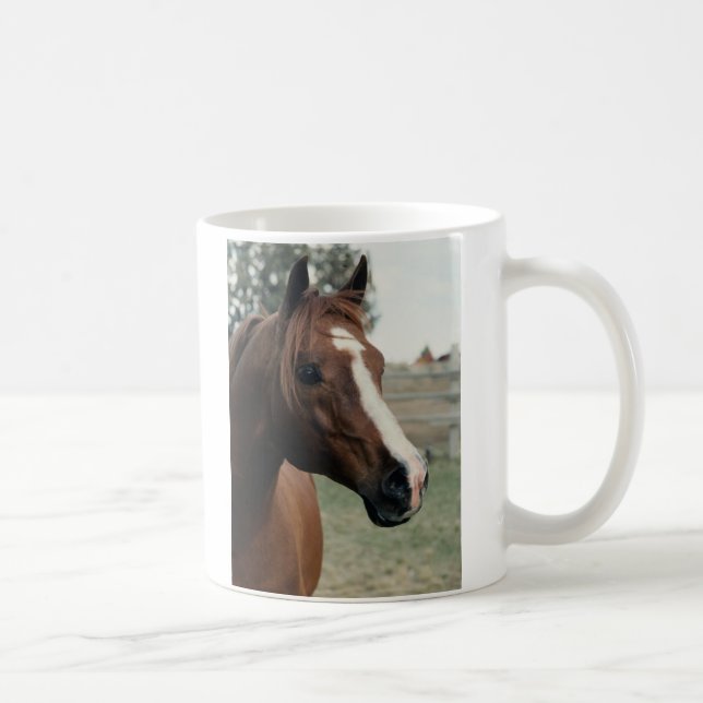 Arabian at Pasture Coffee Mug (Right)