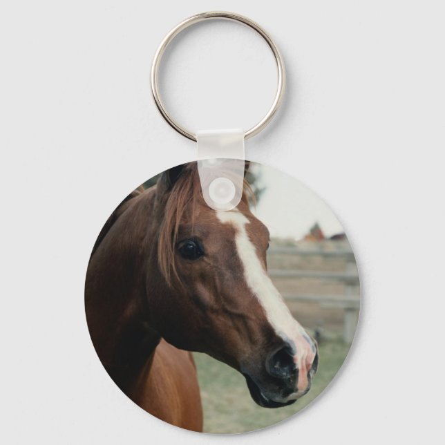 Arabian at Pasture Key Ring (Front)