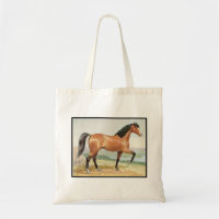 Arabian Bay Horse – Vintage Watercolor Fine Art