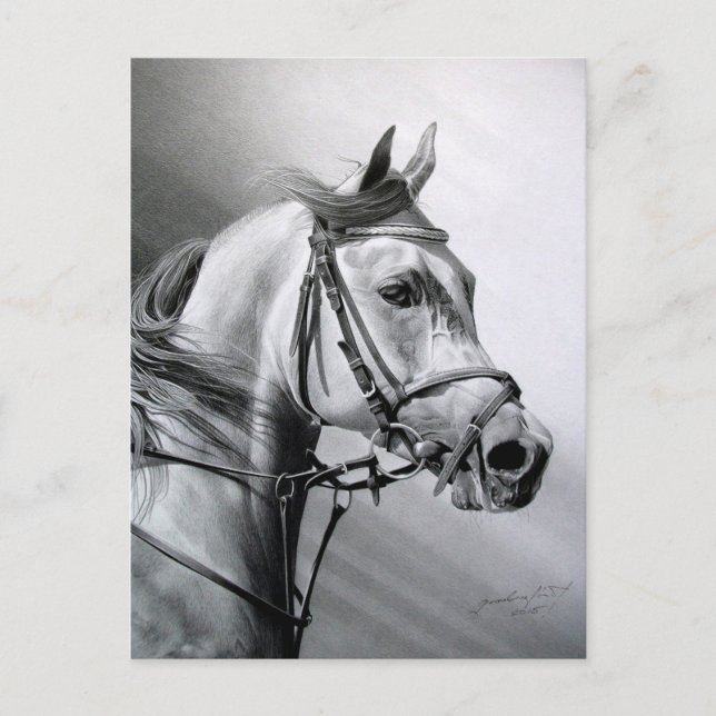 ARABIAN BEAUTY Postcard (Front)