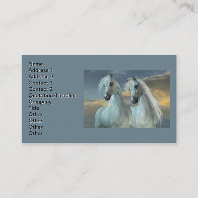 Arabian Brothers Business Card (Front)