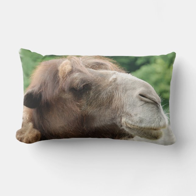 Arabian Camel Pillow (Front)