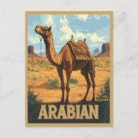 Arabian Desert Adventure - Camel