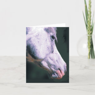 Arabian Head 'Beautiful Boy' Card
