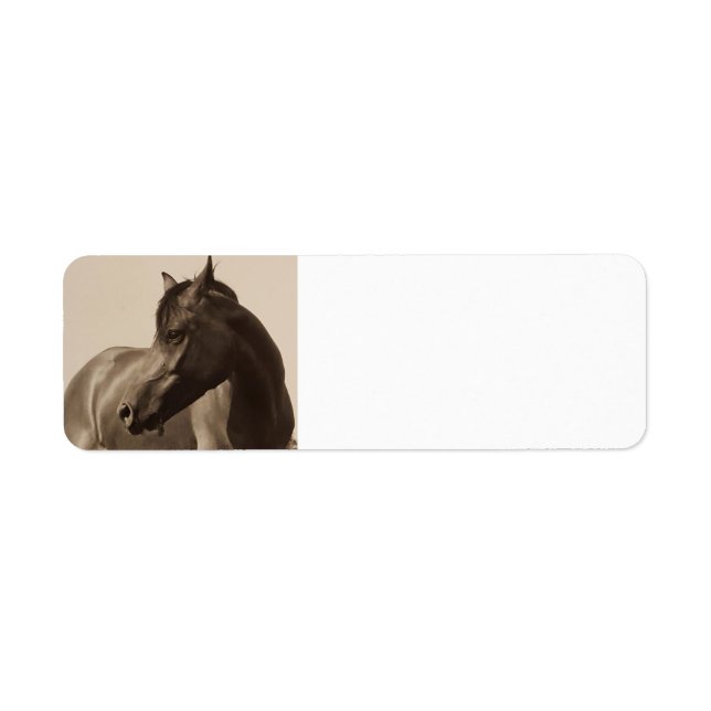 Arabian Horse address labels (Front)