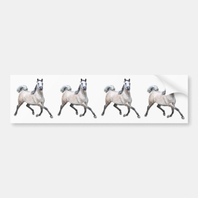 Arabian Horse - Alia Bumper Sticker (Front)