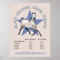 Arabian Horse - Alia's Natural Horse Treats