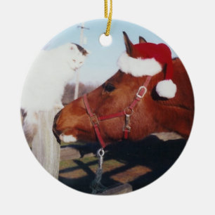 Arabian horse and cat Ornament