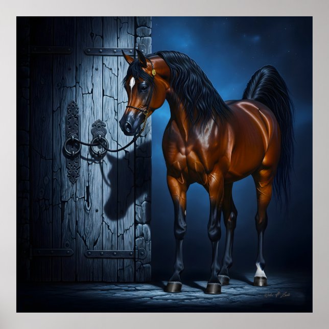 Arabian horse and old door poster (Front)