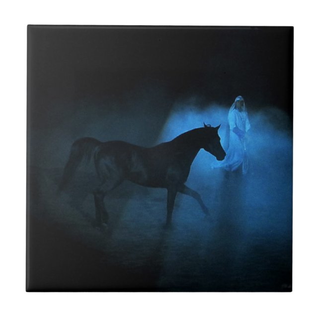 Arabian horse and traine tile (Front)