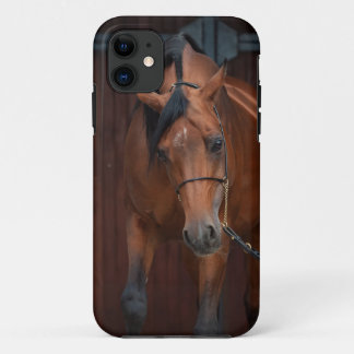 arabian horse beauty. bay iPhone 11 case
