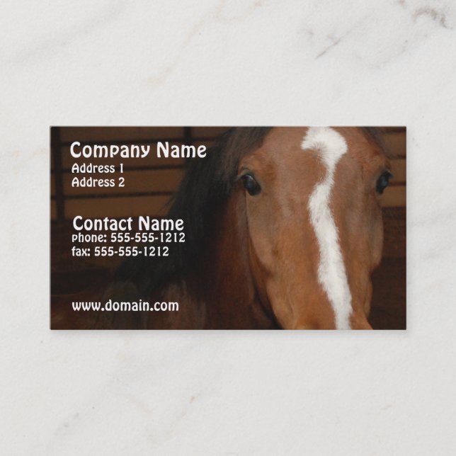 Arabian Horse Business Card (Front)