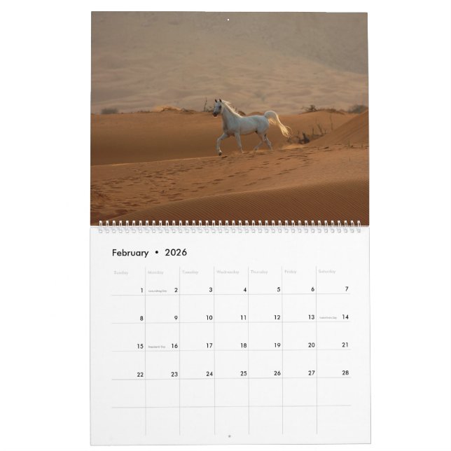 Arabian Horse Calendar 2019 (Feb 2026)