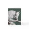 Arabian Horse-Card