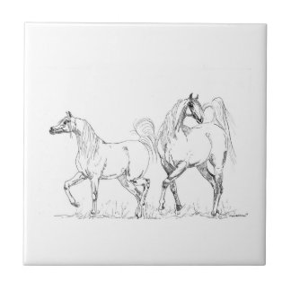 Arabian Horse Ceramic Tile - Arabian Horses