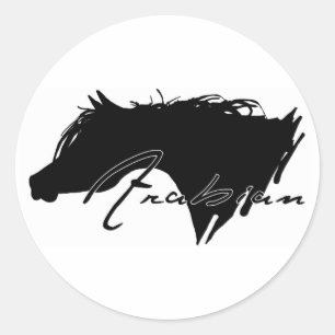 Arabian Horse Classic Round Sticker