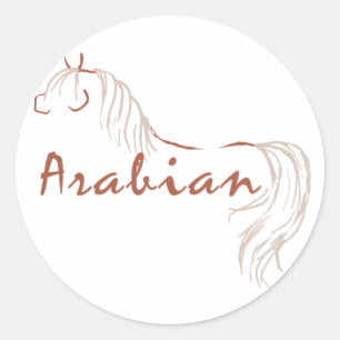 Arabian Horse Classic Round Sticker