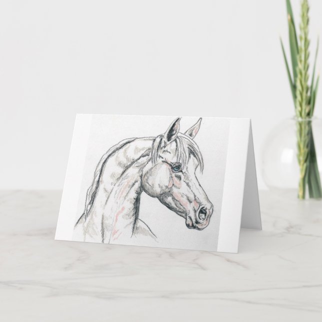 Arabian horse generic greeting card (Front)