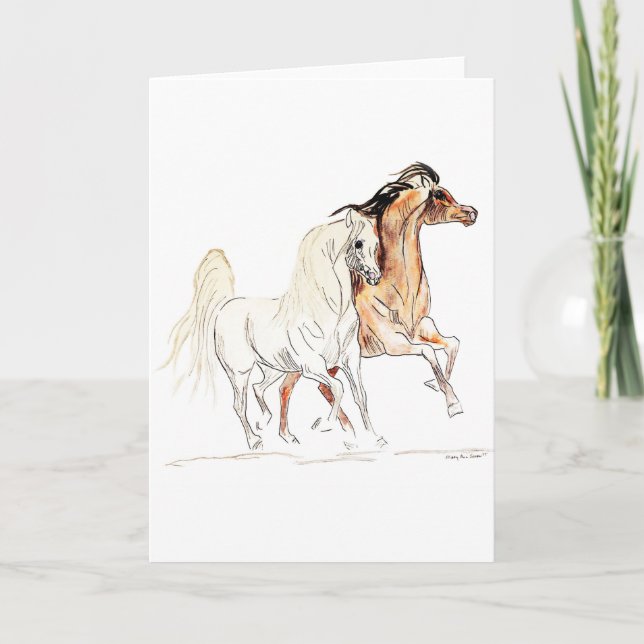 Arabian Horse Greeting Card (Front)