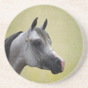 Arabian Horse Grunge Coaster