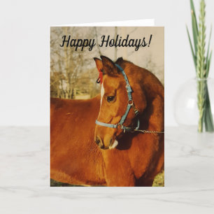 Arabian Horse Holiday Card