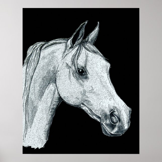 Arabian Horse Ink Sketch Poster (Front)